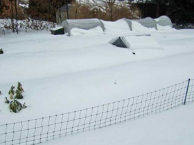 Снег на садовом участке