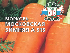 Морковь под зиму